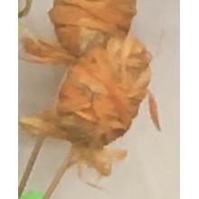 Gul Påske æg med Bast Orange snor på pind (23cm høj)